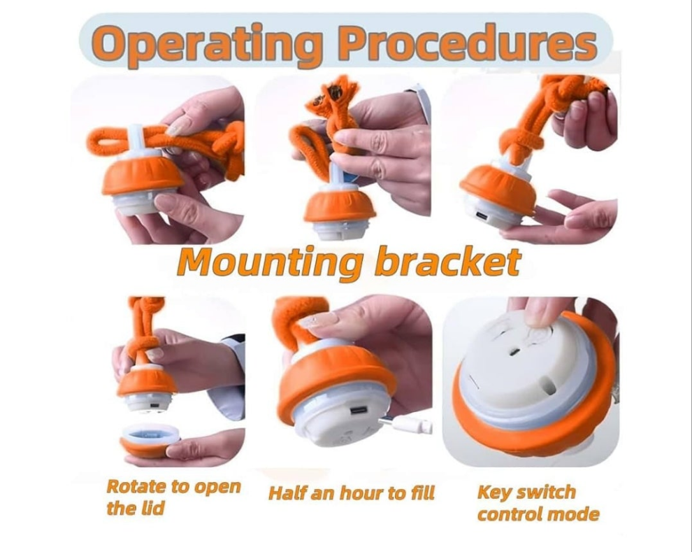 Active Rolling Ball Dogs and Cats, Squeaky, USB Rechargeable