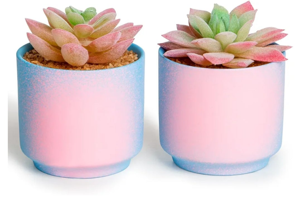Artificial Succulent Plants in 2 Ceramic Pots, Cute Fake Plants for Vanity Decor,Office, Desk, Bathroom, Kitchen,Bedroom, Shelves Decor