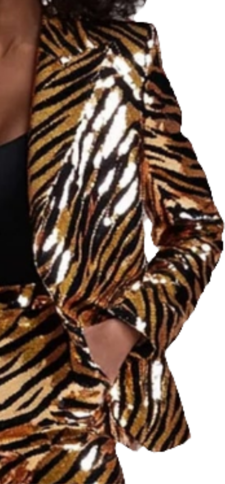 COCOMONEY Tiger Pattern Sequined Blazer Two Piece Pants Set-Gold