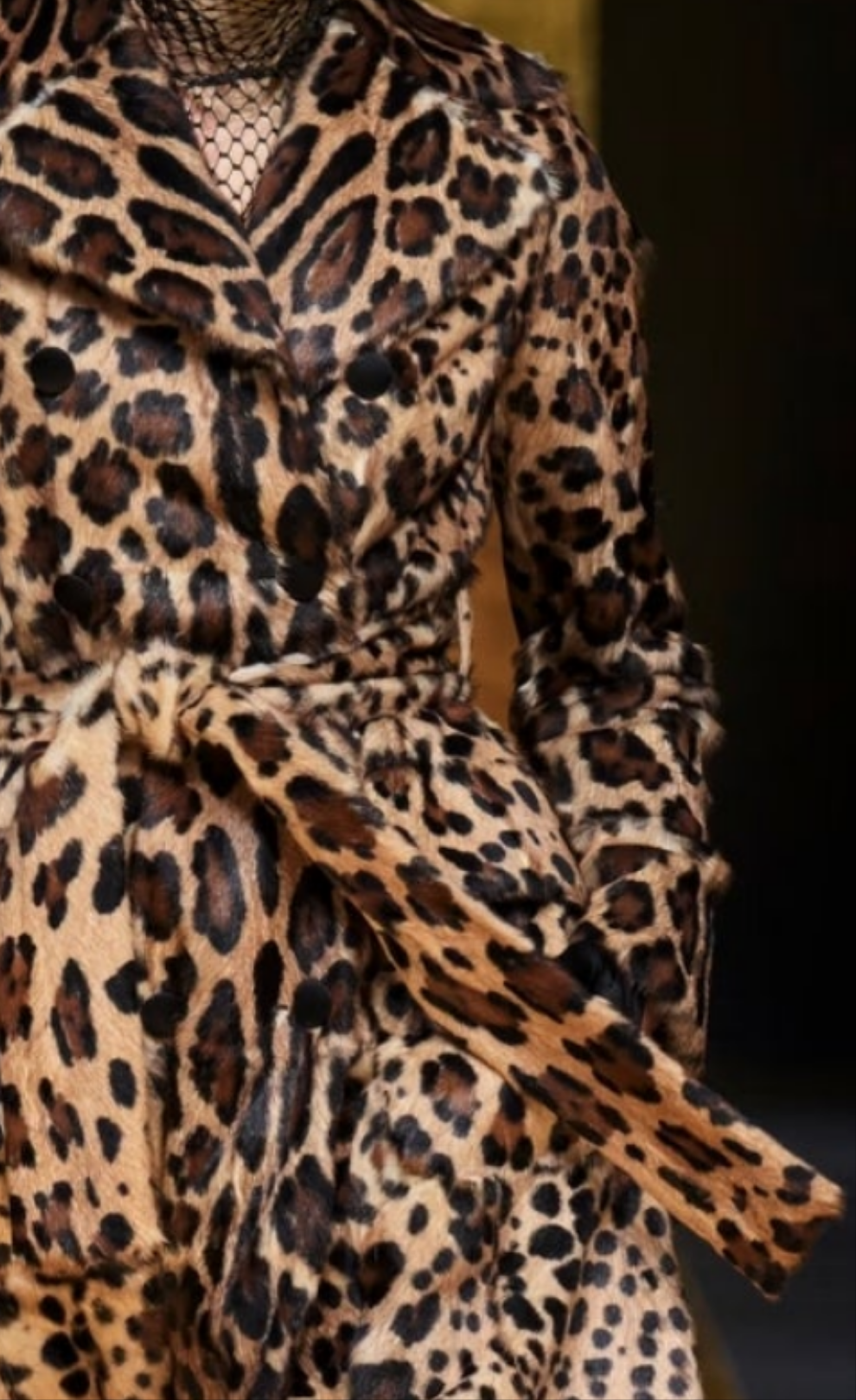 Dolce & Gabbana
Belted Double-breasted Leopard-print Goat Hair Coat - Animal print