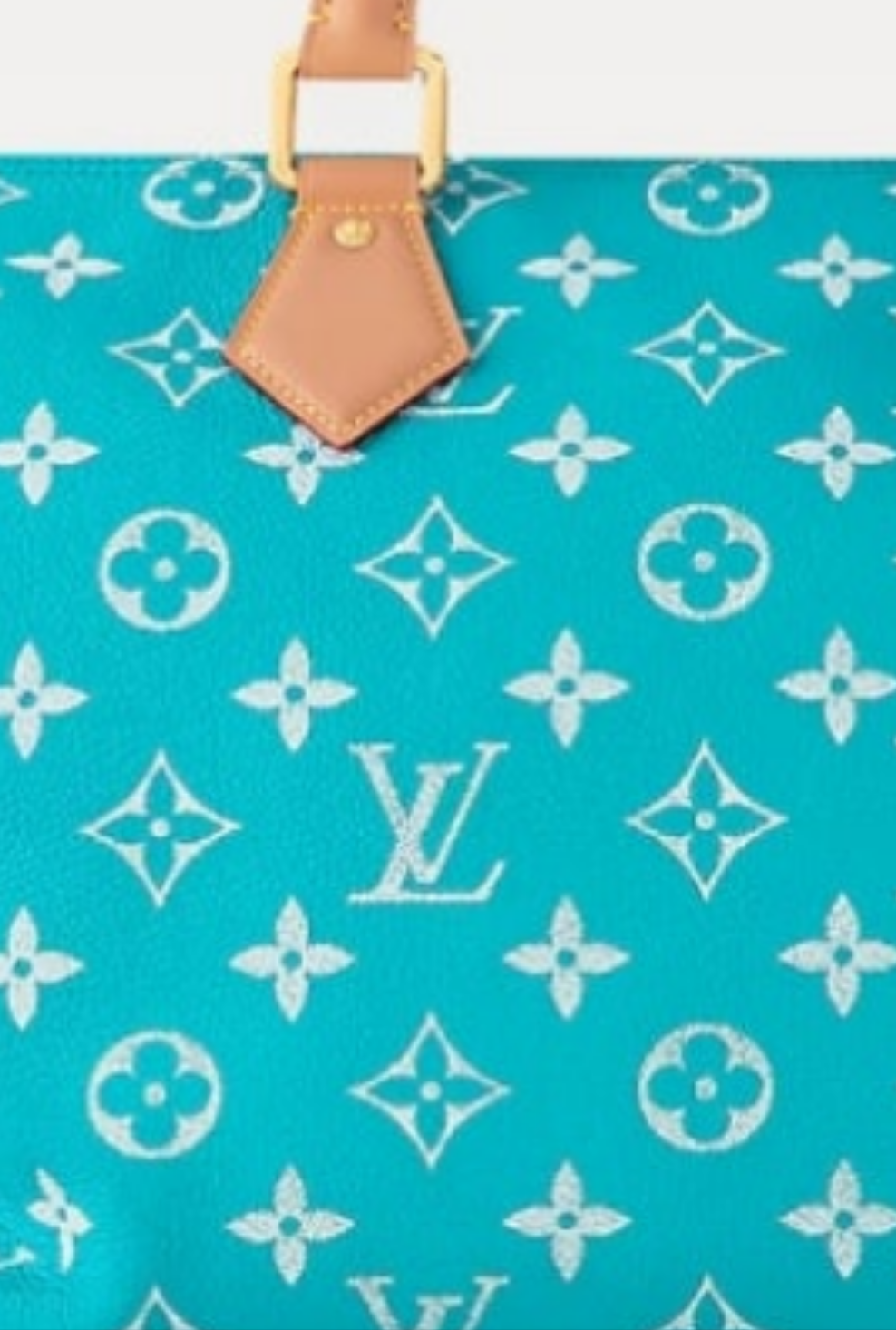 Louis Vuitton Speedy P9 Bandouliere
40 Pink Agate