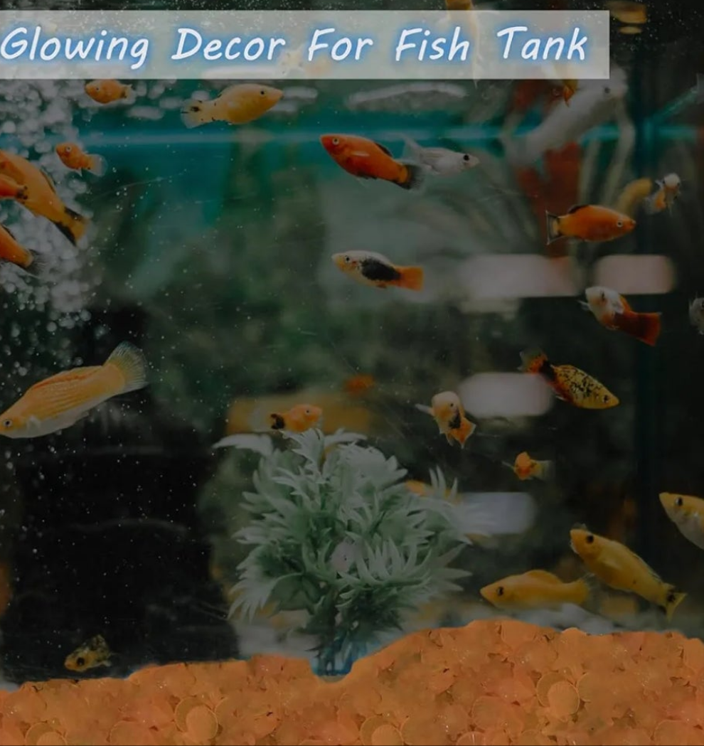Fish Tank Rocks Glow Rocks for Fish Tank Glow in The Dark Stones Aquarium Decor Pebbles Luminous Stones for Lawn,Pathway,