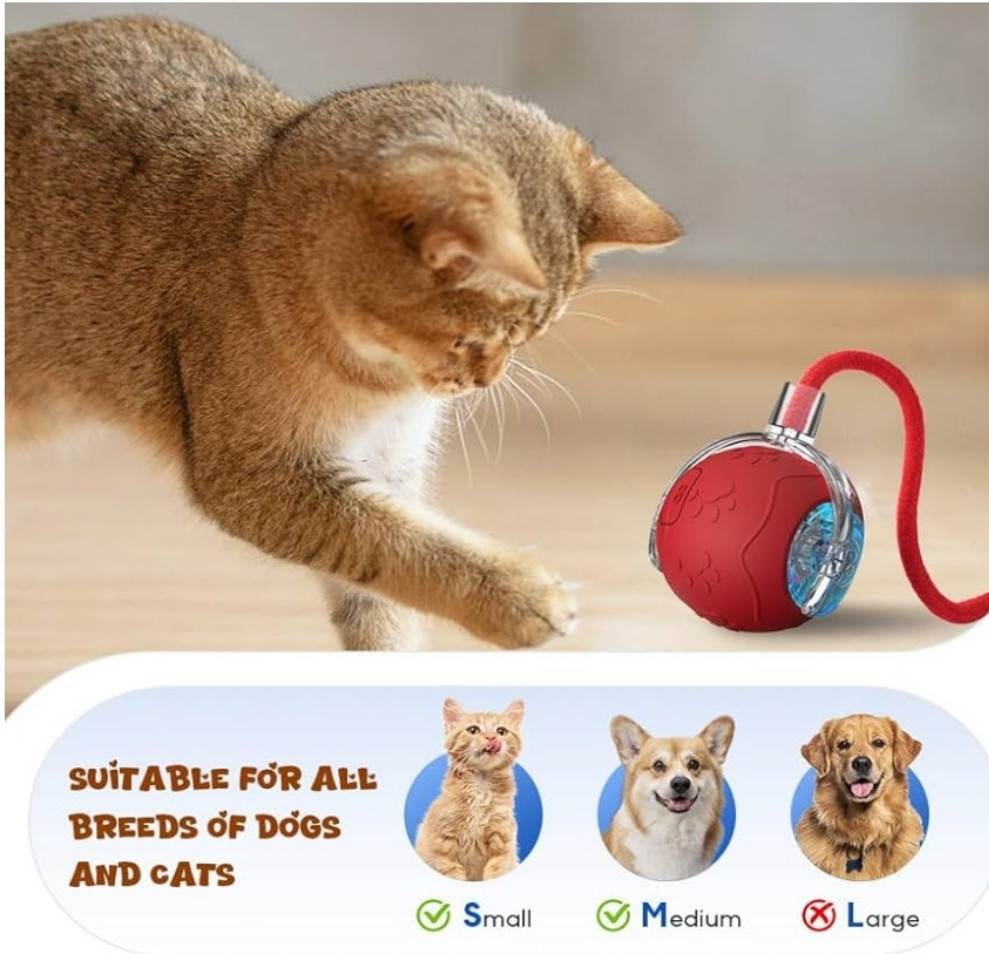Chase Pet Toy Ball, 2025 Upgraded 360° Automatic Rolling Cat Ball Toy with Rope, Self-Entertainment Interactive Pet Toy Balls for Cats,Dogs (Red)