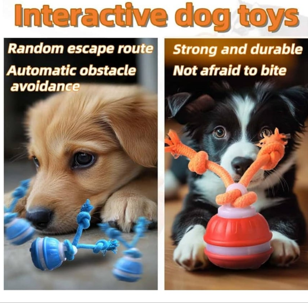 Active Rolling Ball Dogs and Cats, Squeaky, USB Rechargeable