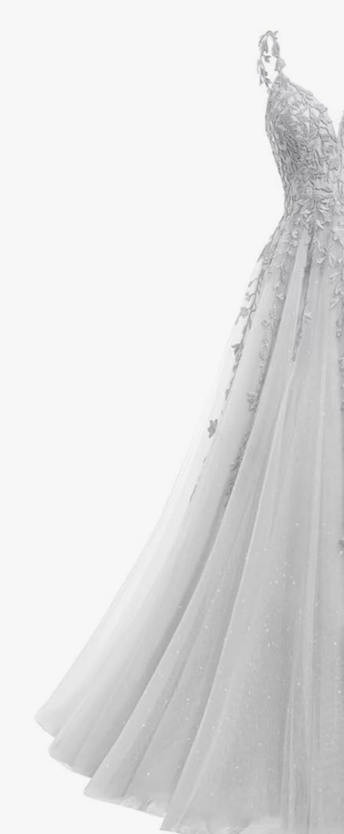 V Neck Tulle Wedding Dresses Long Sparkly Lace Formal Ball Room Party Dress