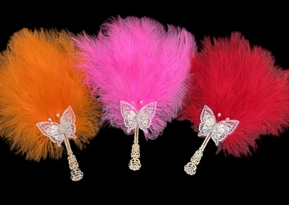 Feather fan