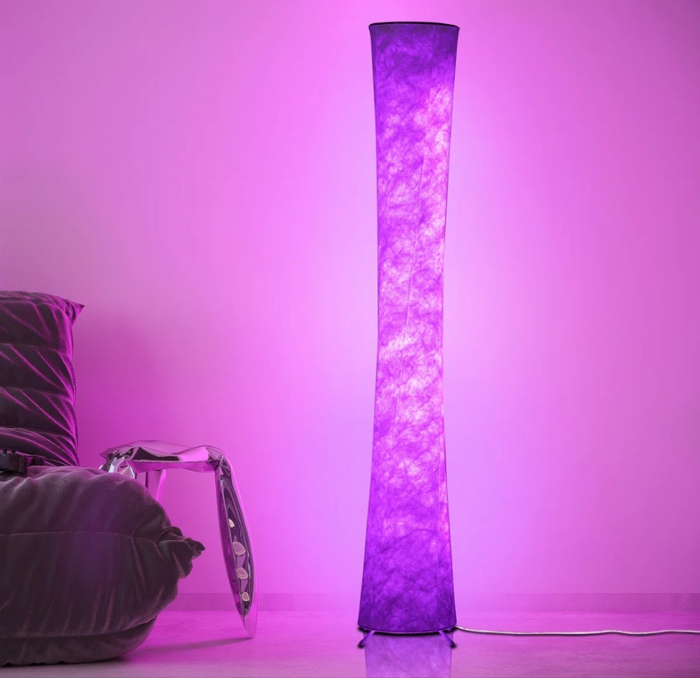 LED Dimmable Novelty Floor Lamp with Remote and APP Control
