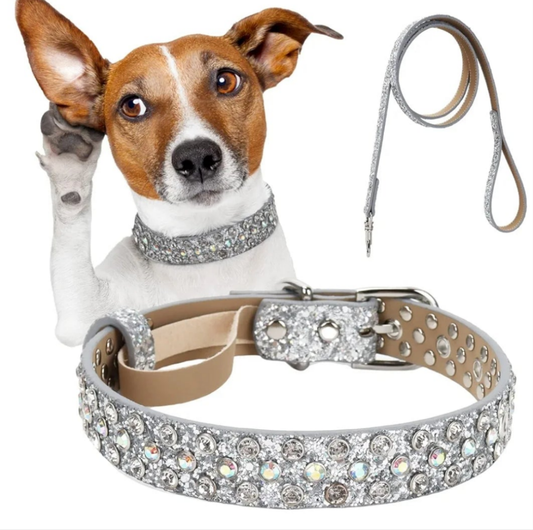 Rhinestone Dog Collar, Silver Bling Diamond Pet Collars with Leash for Small Medium Large Dog, Glitter Dog Collar with Rhinestone Sparkly Crystal Collar for Male Female Dog
