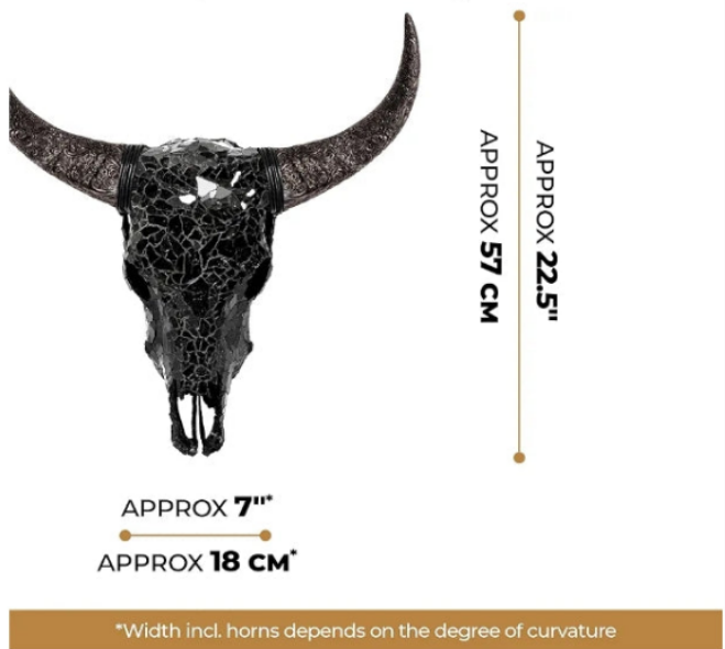 Hand-Crafted Real Authentic Taxidermy Cow Skull/Bull Skull Wall Decor with XL Horns/Real Animal Cow Skull Wall Decor (Hand-Carved Horns)