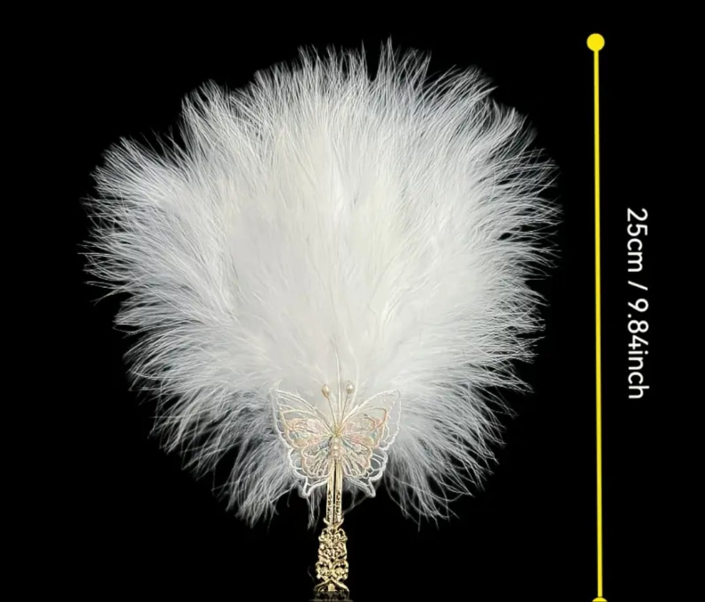 Feather fan