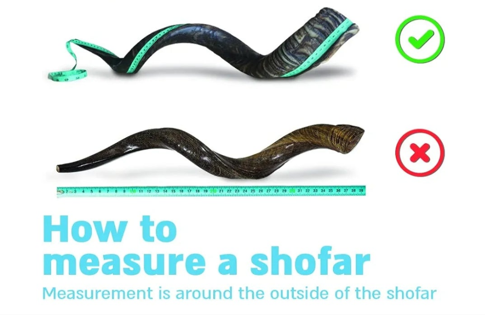 Kosher Kudu Shofar Horn from Israel – Traditional Half-Polished Yemenite Shofar Includes Carrying Bag, Brush and Blowing Guide - Easy Blowing Ancient Musical Instrument (