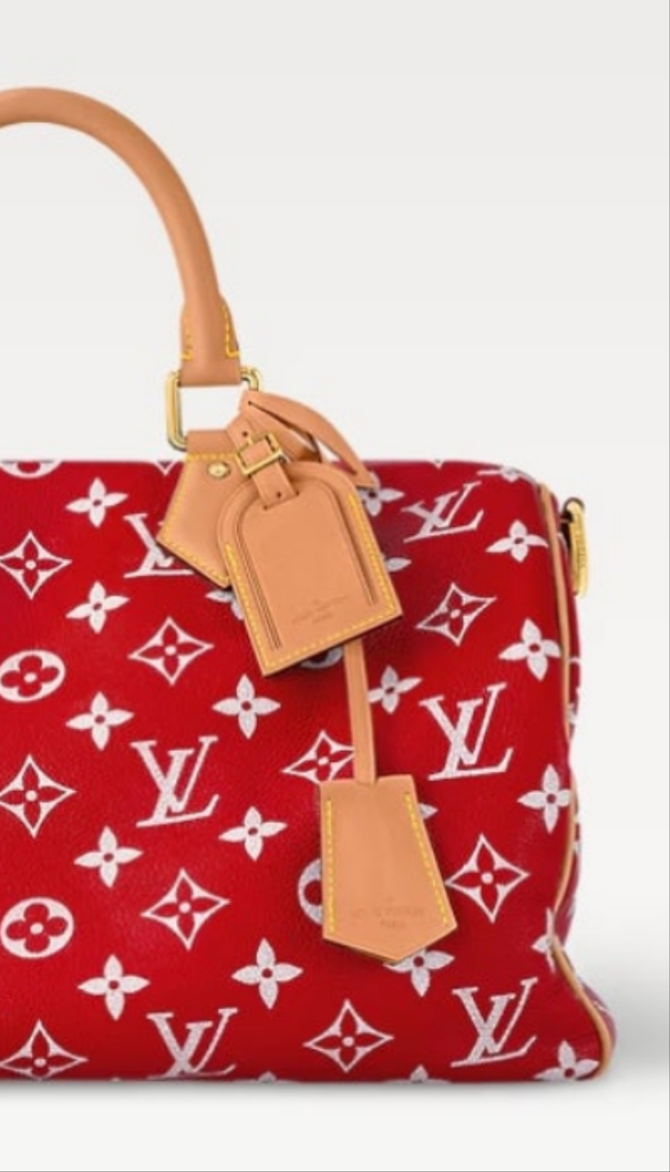 Louis Vuitton Speedy P9 Bandouliere
40 Pink Agate