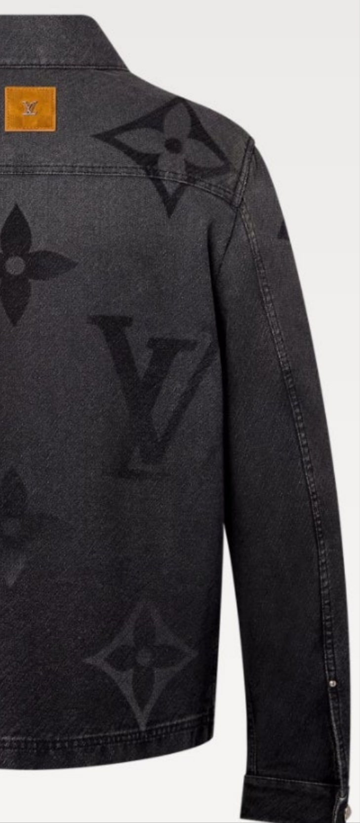 Louis Vuitton Monogram Denim Blouson