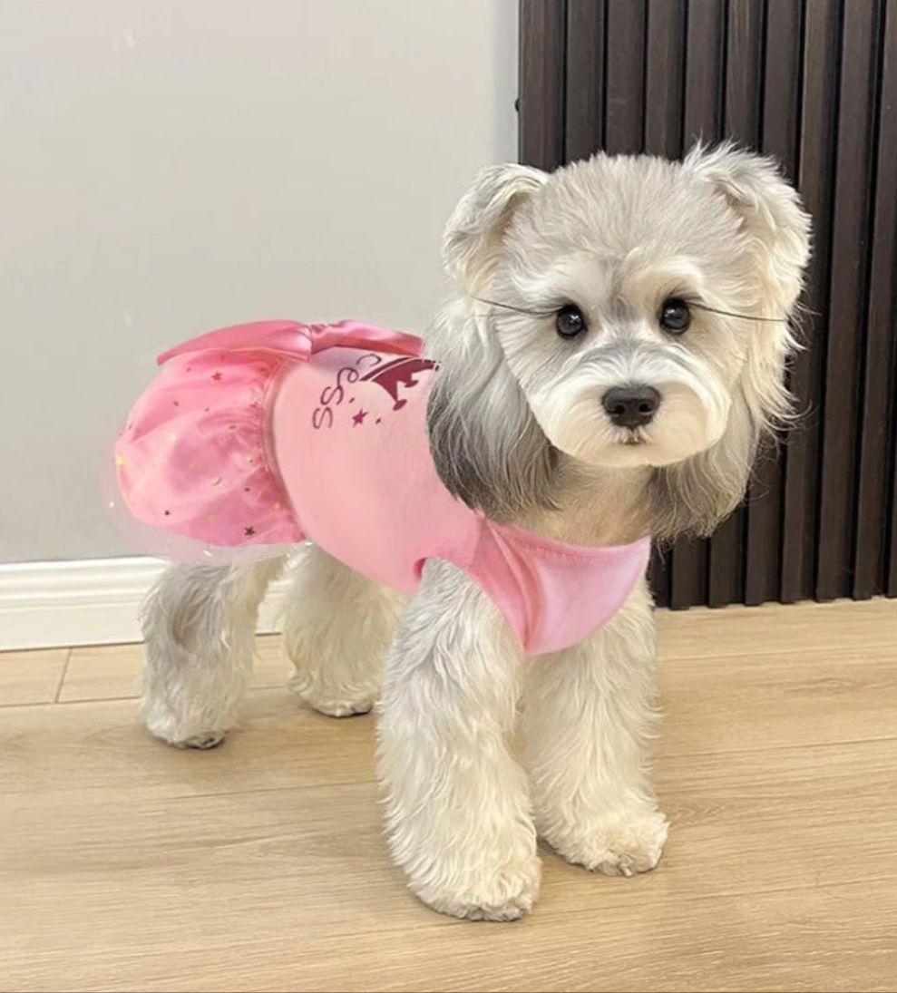Princess Dog or Cat Dress Tulle Puppy Skirt Pet Apparel Dog Tutu with Bowknot,Birthday Dresses Daisy Sleeveless Holiday Clothes for Small Dogs Girls and Cats,
