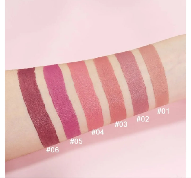 6 Pcs Brown Nude Pink Purple Red Lipstick Matte Sets,Light to Dark Velvet Lipstick for Women Long Lasting Waterproof 24 Hours Lip Stick