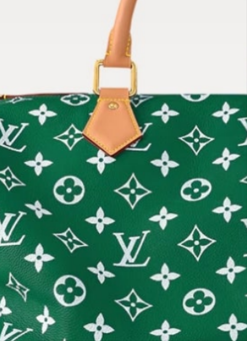 Louis Vuitton Speedy P9 Bandouliere
40 Pink Agate