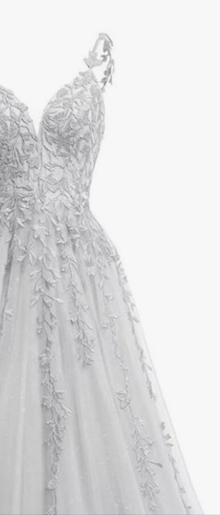V Neck Tulle Wedding Dresses Long Sparkly Lace Formal Ball Room Party Dress