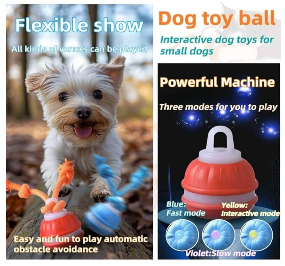 Active Rolling Ball Dogs and Cats, Squeaky, USB Rechargeable
