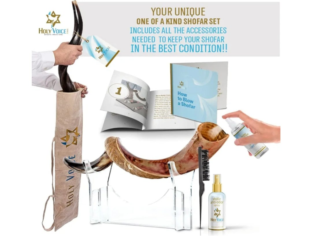 Kosher Kudu Shofar Horn from Israel – Traditional Half-Polished Yemenite Shofar Includes Carrying Bag, Brush and Blowing Guide - Easy Blowing Ancient Musical Instrument (