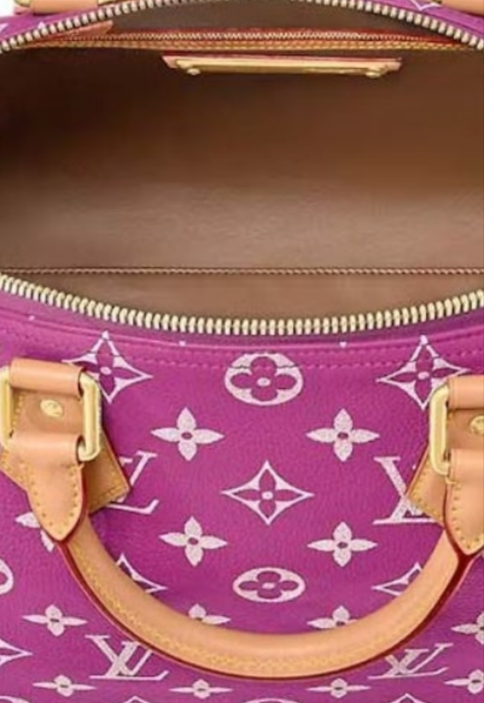 Louis Vuitton Speedy P9 Bandouliere
40 Pink Agate