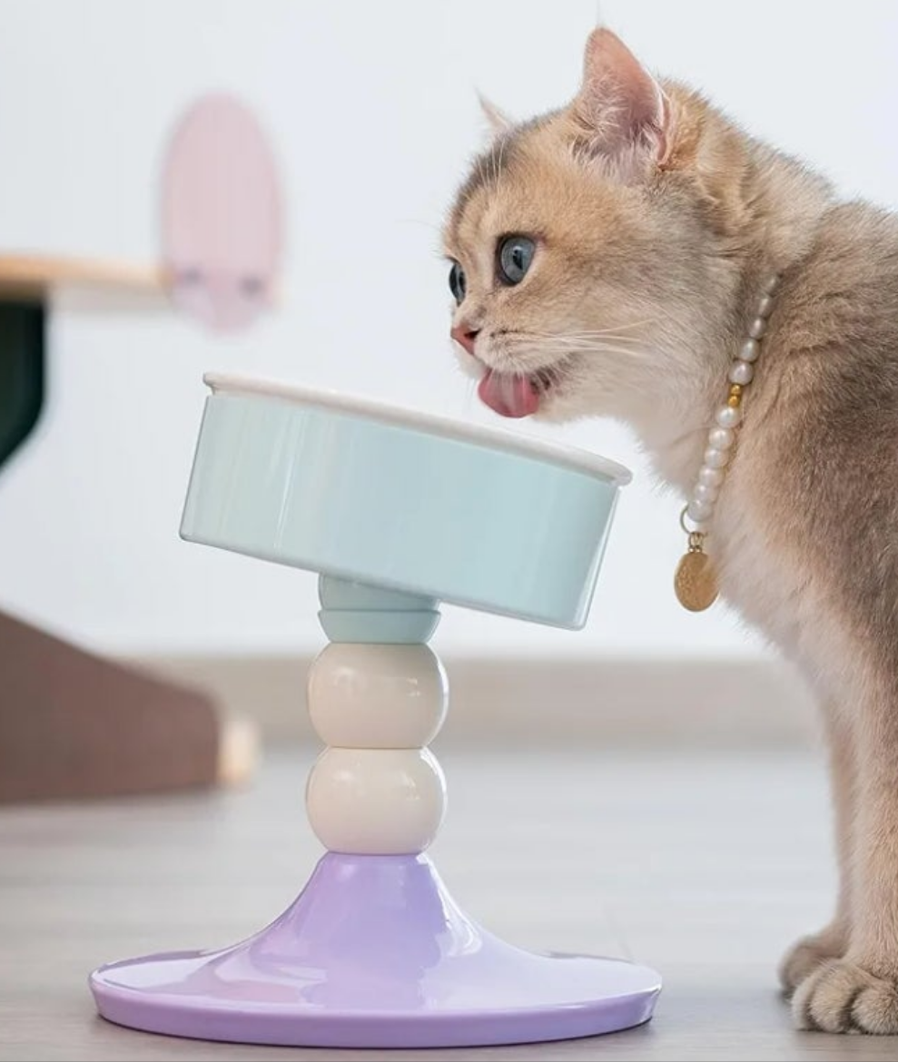 Ceramic Elevated Raised Cat Bowls,Cat Food Dish with Stand, 3 Height Adjustable Raised Dog Bowl Stand for Small Dogs Cats, Adjusts to 4.69", 5.98", 7.28"