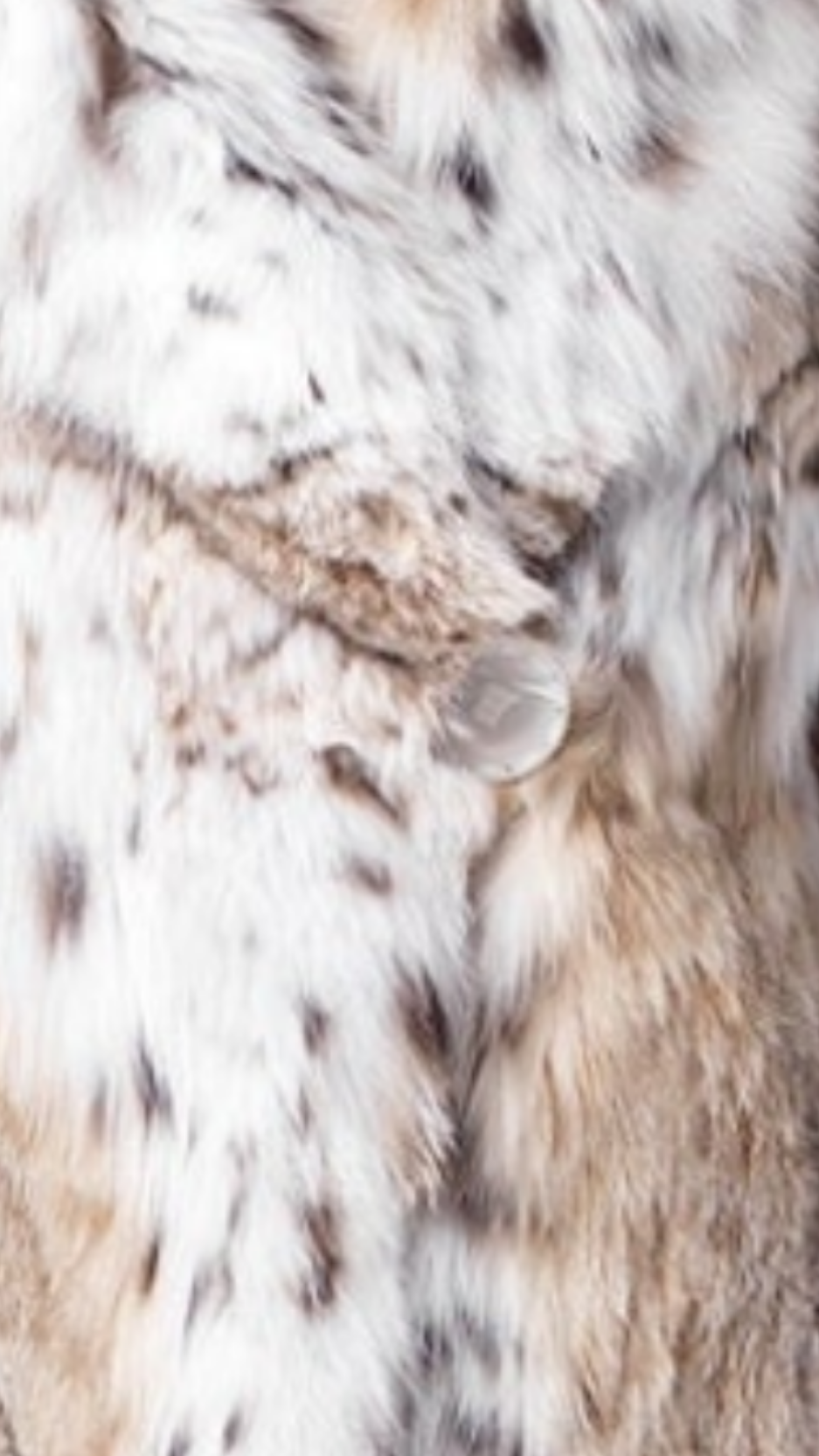 Lynx Fur Coat Kimiko Beige