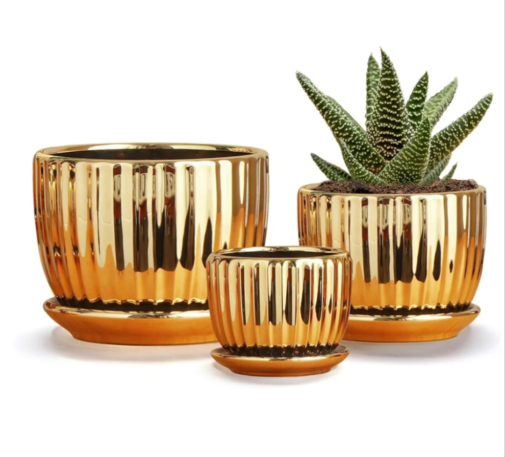 3 Ceramic Flower Pots,Yellow Plant Pots for Indoor Plants,4.1+5.1+6.5 inch Ceramic Plant Pots with Tray,Medium Indoor Planters for Aloe Cactus Decorative Pots with Drainage Hole (Set of 3)