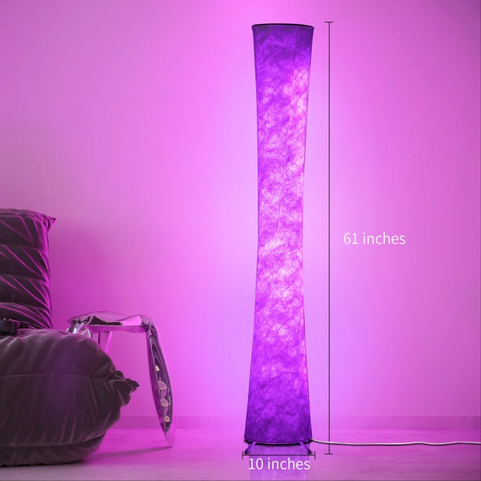 LED Dimmable Novelty Floor Lamp with Remote and APP Control