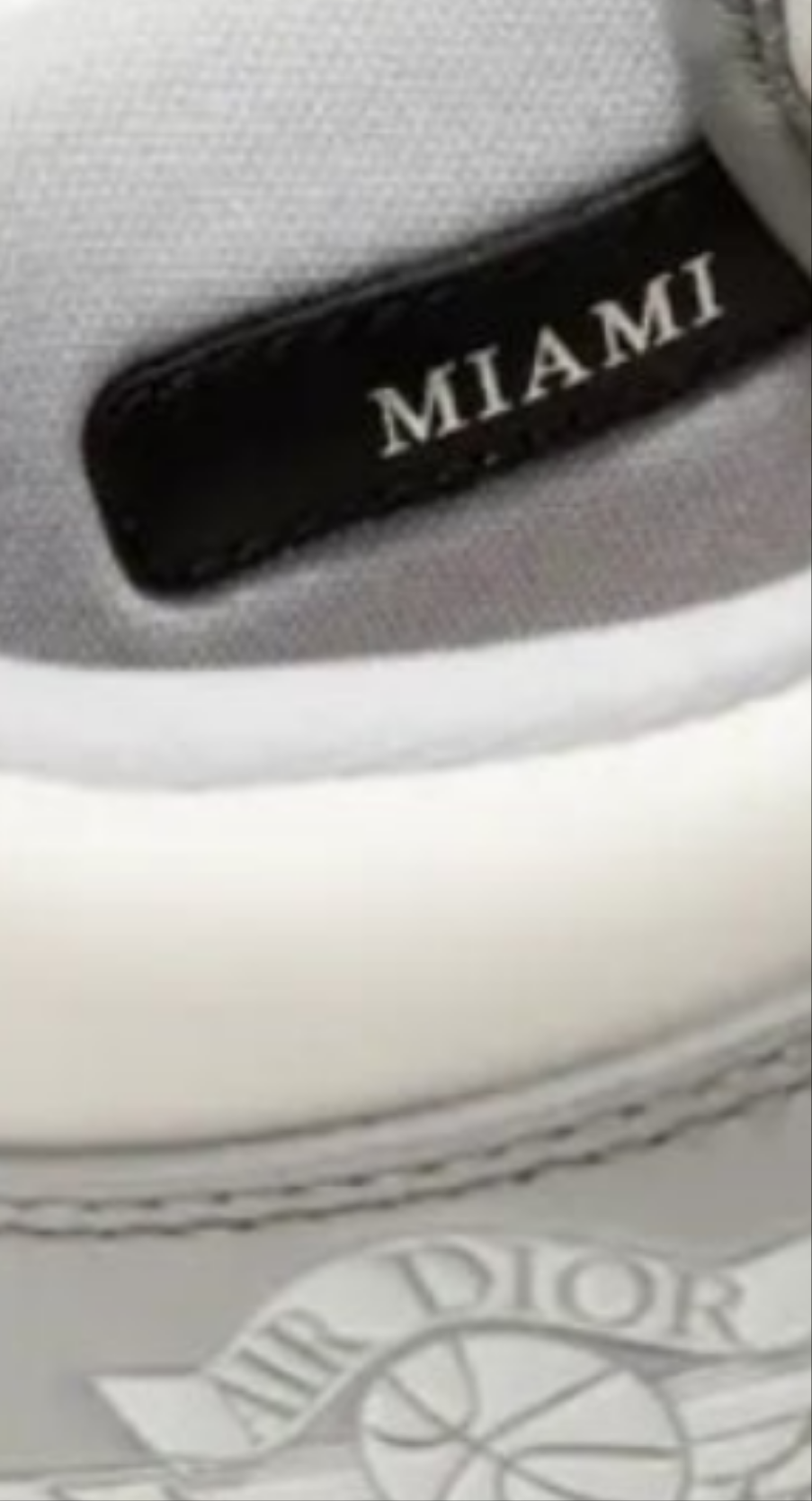 2020 Dior x Air Jordan 1 High