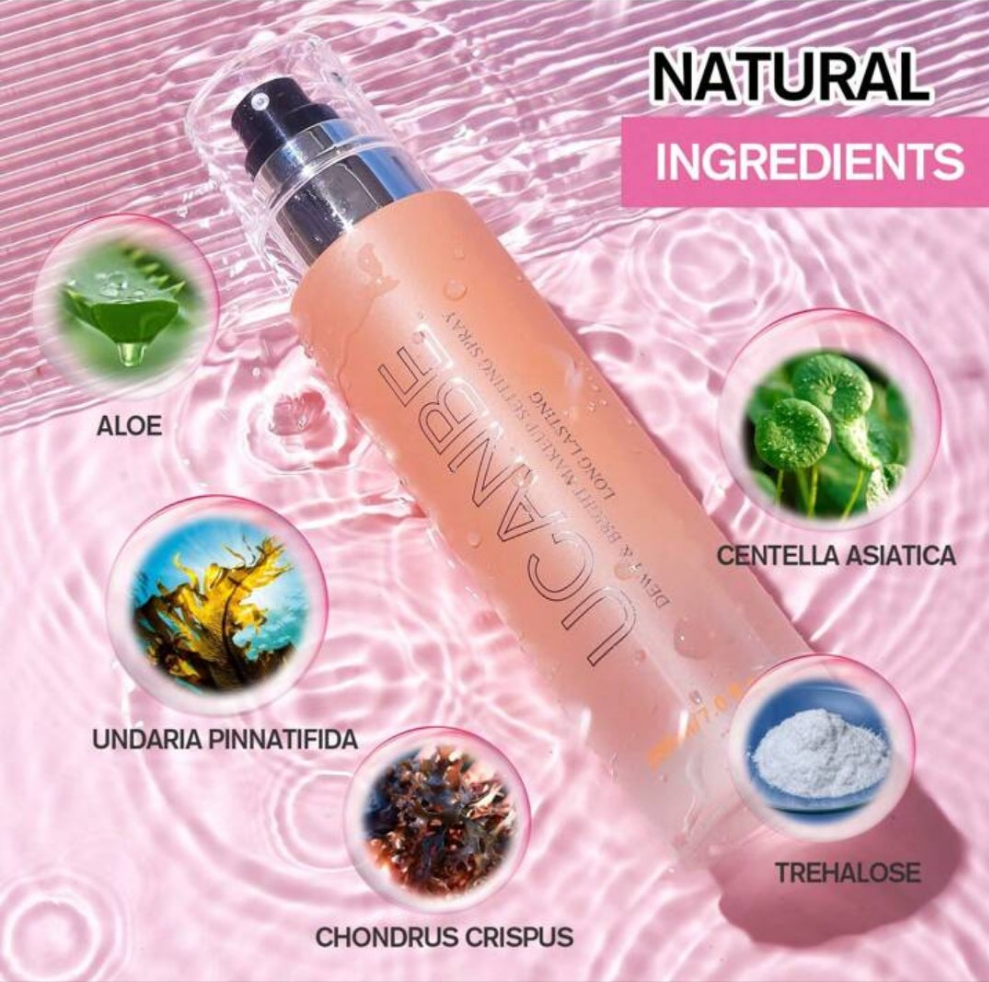 Makeup Setting Spray -Matte / Dewy Finishing Spray, Long Lasting Oil Control Make Up Spray, Lightweight Hydrate Face Mist For Face