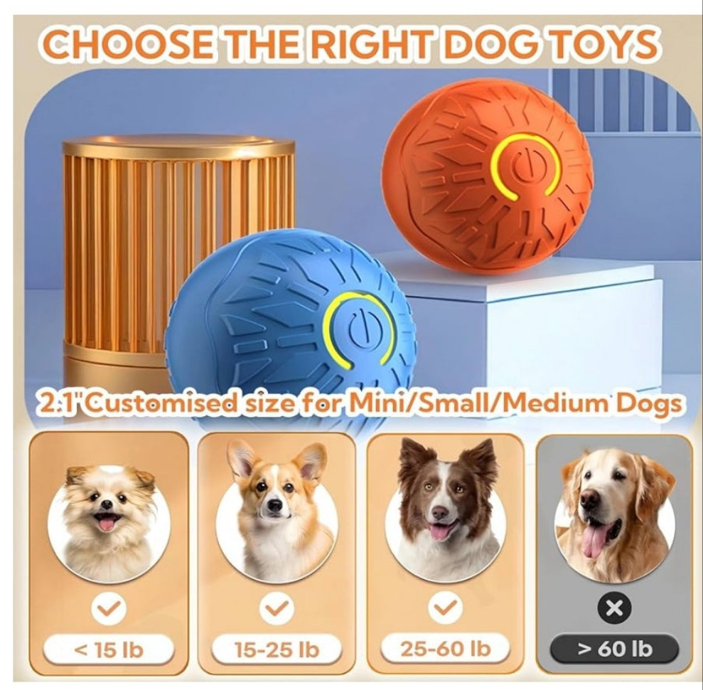 Active Rolling Ball Dogs and Cats, Squeaky, USB Rechargeable