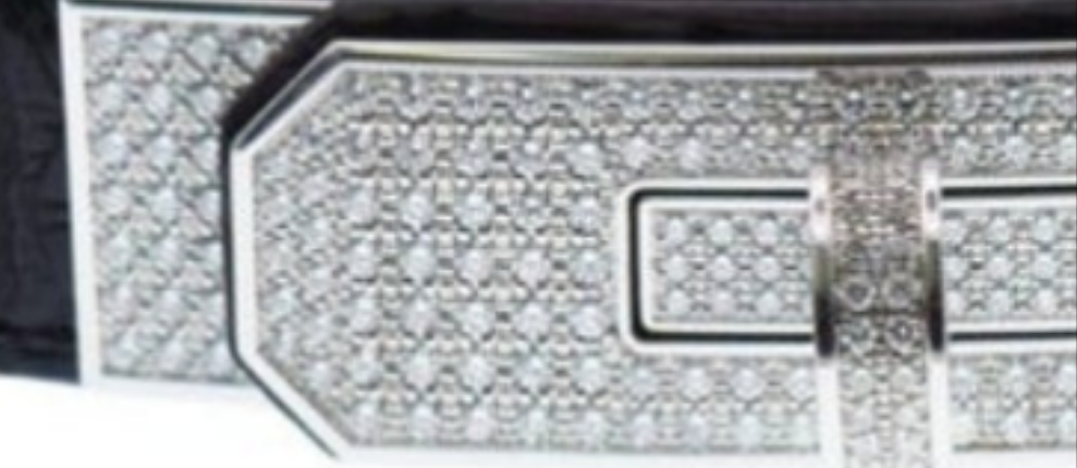 Hermes "KELLY" Diamond Buckle Crocodile belt 18k white gold and diamond