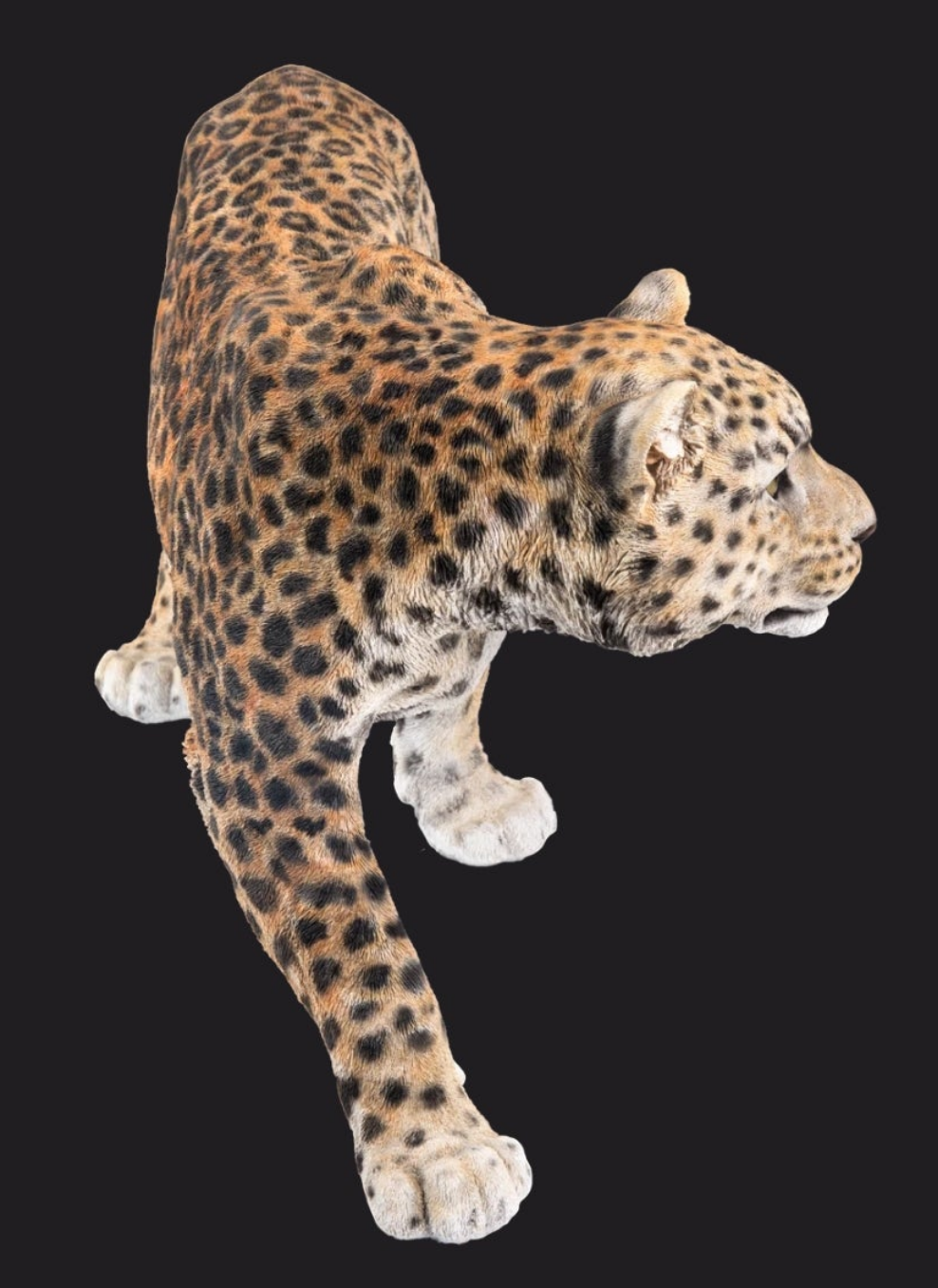 Leopard Stalking Statue Outdoor Garden Walkway Entryway Porch etc.