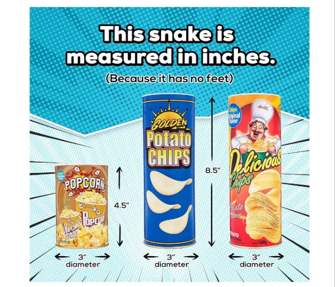 The FunFamz Original Snake in a Potato Chip Can Prank-Funny Classic Snake in a Can Prank for Kids, Snake in a Can Trick Gag Gift Toy & Scary Shock Snake Trick, Spring Snakes Prank, Red Potato Chip Can