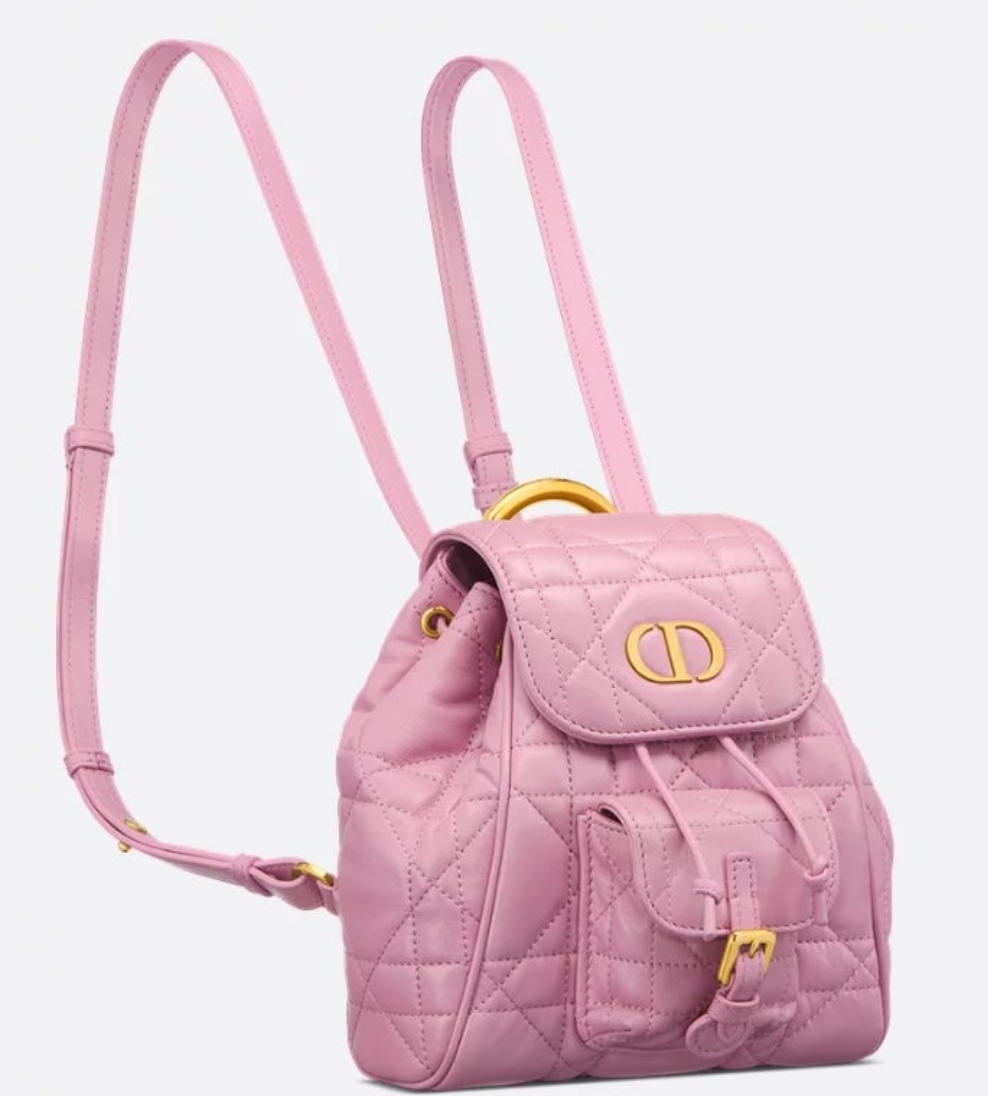 Dior Caro Backpack small
