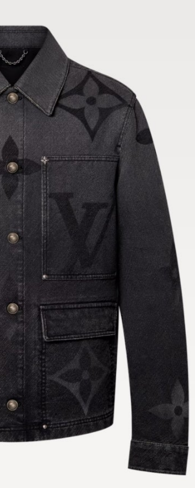 Louis Vuitton Monogram Denim Blouson