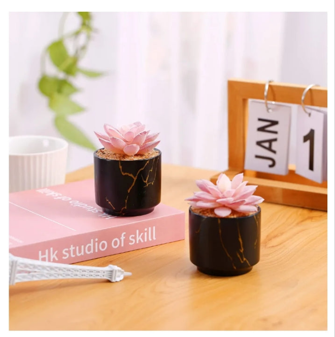 2 Ceramic Pots,Small Fake Plants for Office and Desk Decor,Bathroom, Bedroom,Shelves