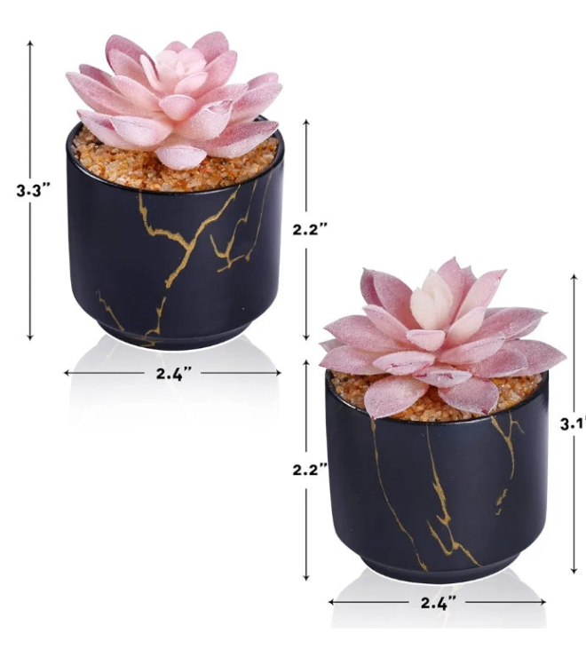 2 Ceramic Pots,Small Fake Plants for Office and Desk Decor,Bathroom, Bedroom,Shelves