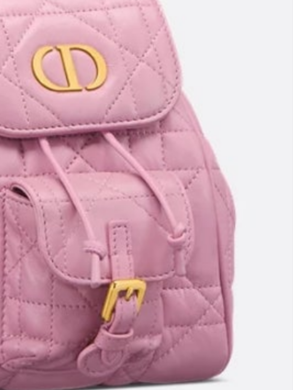 Dior Caro Backpack small
