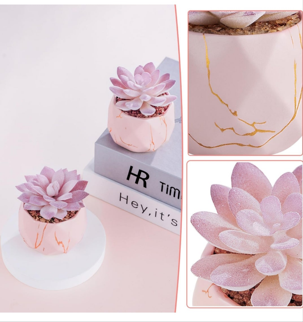 Artificial Succulent Plants in 2 Ceramic Pots, Cute Fake Plants for Vanity Decor,Office, Desk, Bathroom, Kitchen,Bedroom, Shelves Decor