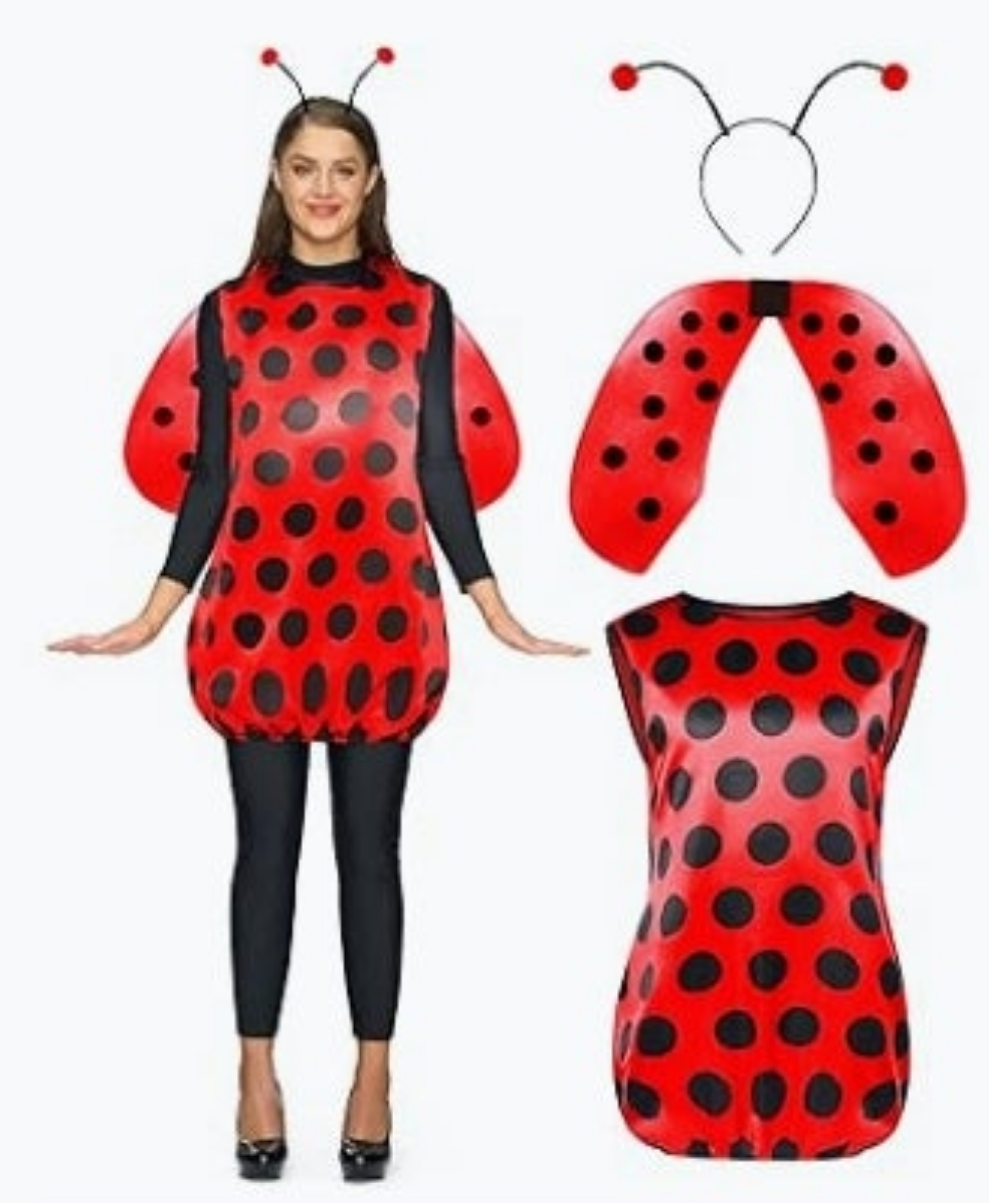 Adult Halloween costume comes with accessories show in its photo choose number by the costume you want