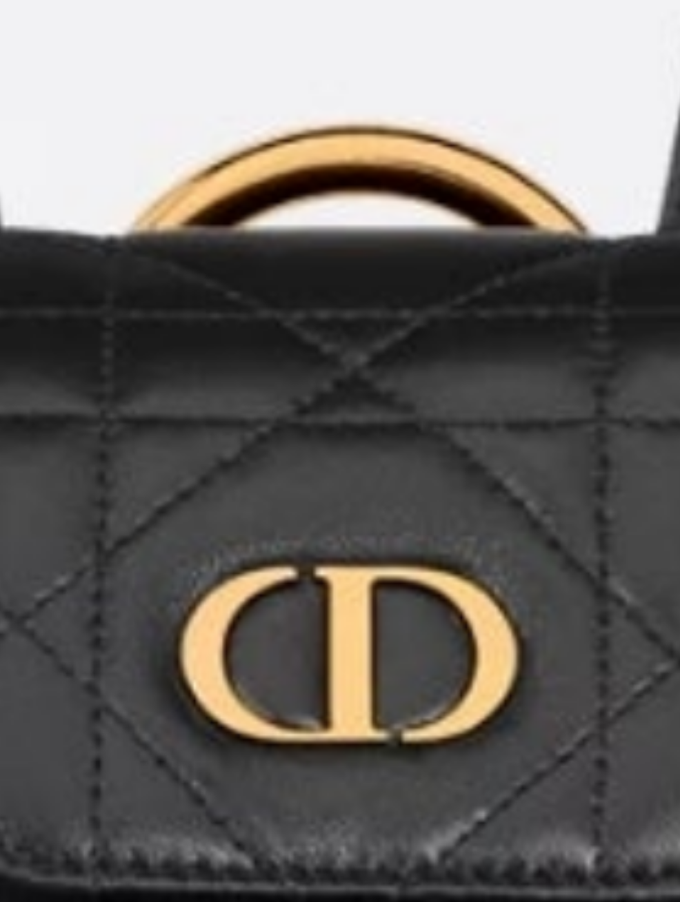 Dior Caro Backpack small