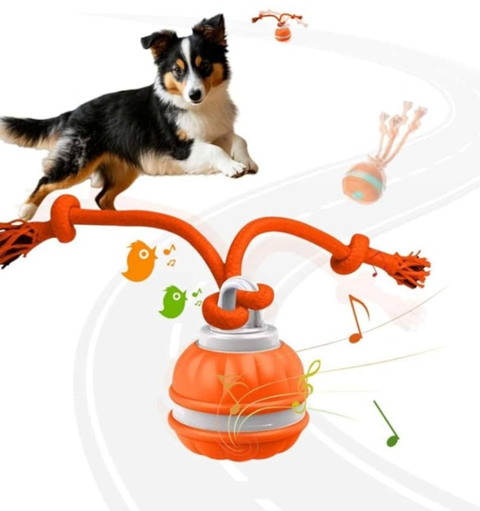 Active Rolling Ball Dogs and Cats, Squeaky, USB Rechargeable