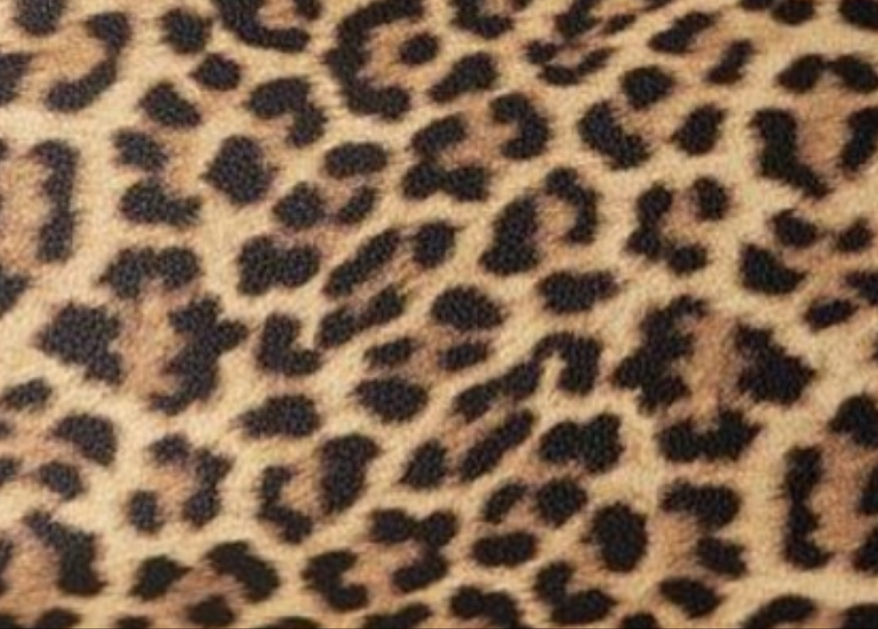 COCOMONEY Handbags Hot Leopard