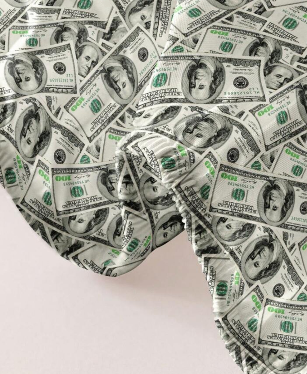1pc Money Style Printed Fitted Sheet Dustproof Bedding Supplies For Home