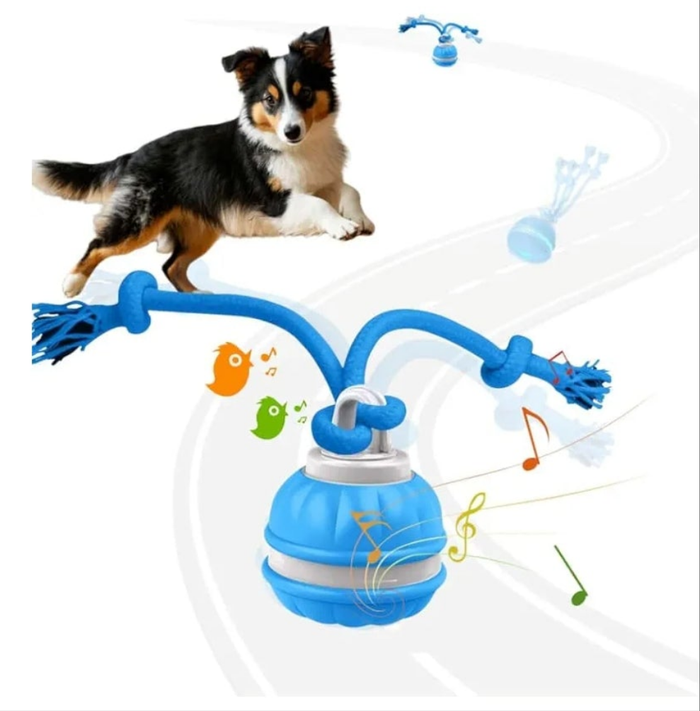 Active Rolling Ball Dogs and Cats, Squeaky, USB Rechargeable