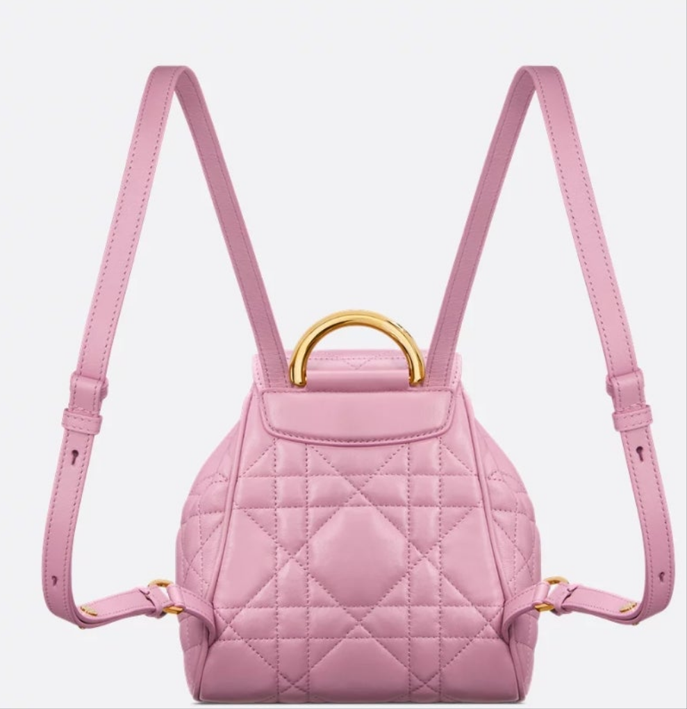 Dior Caro Backpack small