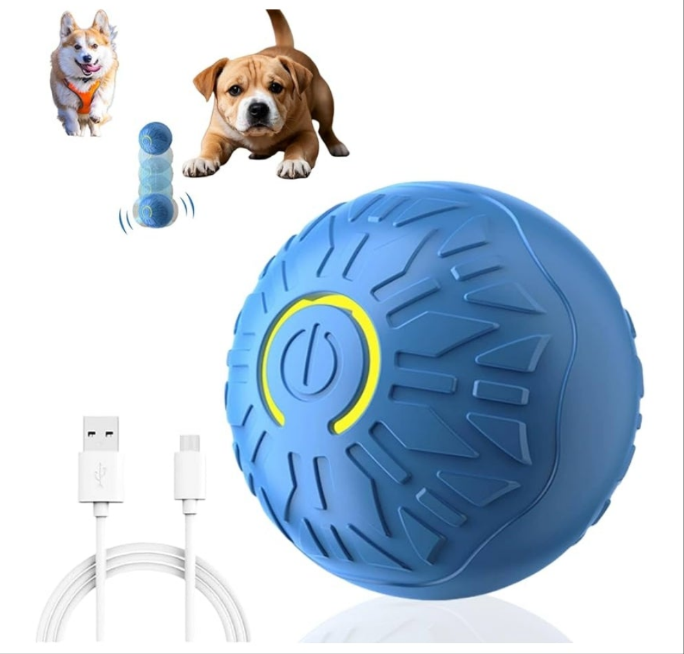 Active Rolling Ball Dogs and Cats, Squeaky, USB Rechargeable