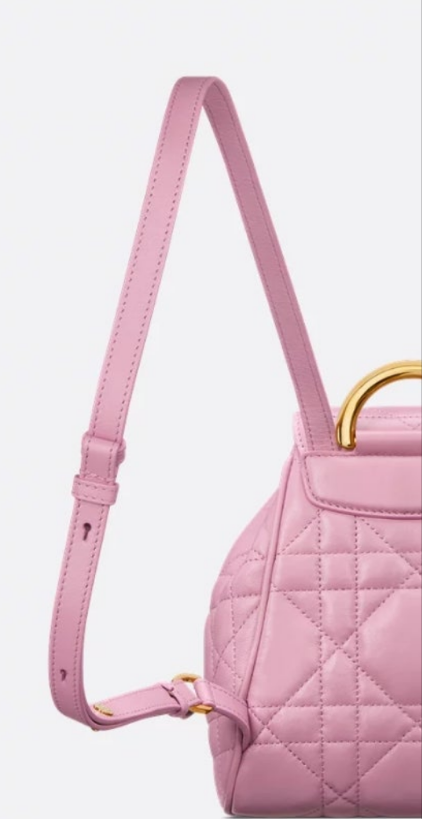 Dior Caro Backpack small