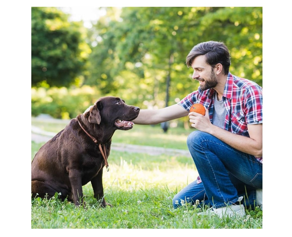 Smart Interactive Pet Toys Ball, Auto Bouncing Rotating Ball, Moving Pet Toys for Dogs Cats 20 lbs (Size Small - 2.2-inch Diameter), USB Rechargeable, Fun Gift for Boredom,